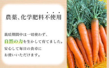 【Hello!農園 直送】秋のおまかせ野菜セット(5~7品) 栽培期間中農薬・化学肥料不使用 / 野菜 やさい 新鮮 旬 採れたて おいしい 産地直送 産直 無農薬野菜 こだわり 定番野菜 めずらしい