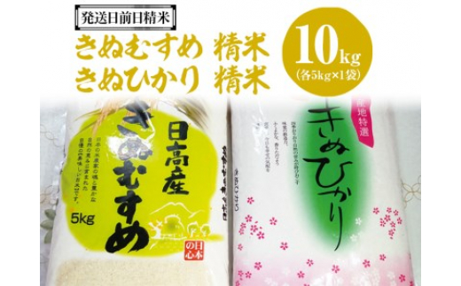 
（発送日前日精米）きぬむすめ(精米　5kg)、きぬひかり(精米　5kg)◆※着日指定不可
