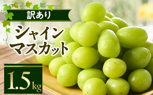 
            やまなし内藤農園の＜訳あり＞シャインマスカット 1.5kg【1513177】
          