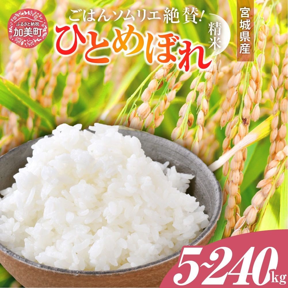 
                   精米 令和7年産 宮城県産 ひとめぼれ 5kg ～ 20kg | 2回 ～ 12回 定期便 (10kg ～ 240kg) [菅原商店 宮城県 加美町 ]  | sg-hb | sg00001-r6 | 1031KH
                