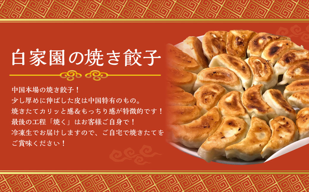 【全3回定期便】ぶたまん× 焼餃子×焼小籠包