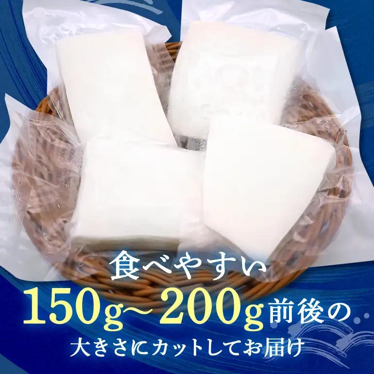 ソデイカ 約3kg いか  セーイカ