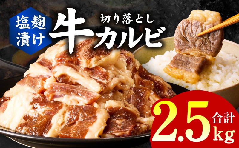 G3397 牛カルビ 焼肉用 塩麹漬け 合計2.5kg【味付け 小分け 焼くだけ 簡単調理 BBQ 牛肉 250g×10袋】