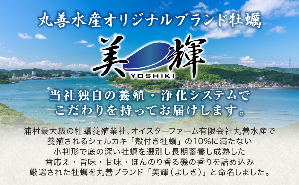 鳥羽浦村の丸善水産のオリジナルブランド牡蠣