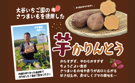 芋 かりんとう 10袋 1袋 70g 安納芋 甘さ控えめ ごま いも イモ さつまいも サツマイモ いもかりんとう パリパリ ポリポリ おやつ お菓子 和菓子 セット 国産 おつまみ 小分け お裾分け