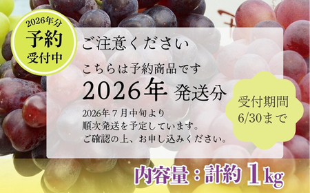 【2026年先行予約】ぶどう詰め合わせ ここにしかないオリジナル品種 おまかせ詰め合わせ２種 約1kg 中村オリジナルぶどう園 ※発送前のご連絡についてご注意ください 希少 オリジナル品種 おまかせ 
