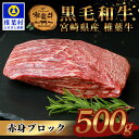 【ふるさと納税】【日本三大秘境の黒毛和牛】宮崎県産 椎葉牛 牛肉 赤身ももブロック 500g【A5 a5 黒毛和牛】【TK-81】｜送料無料 モモブロック 赤身ブロック 牛 肉 人気 黒毛和牛 和牛 国産牛 国産 ブランド牛 A5等級 ギフト 誕生日 プレゼント 多用途 冷凍 ブロック肉｜