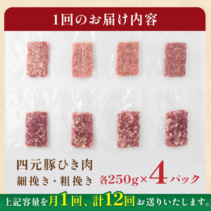 【12ヶ月定期便】四元豚 ひき肉 2kg (細挽き 250ｇ×4、粗びき250ｇ×4 )GIFTON  お歳暮 お中元  ギフト プレゼント 母の日 父の日 誕生日 お祝い 卒業祝い 入学祝い バーベ