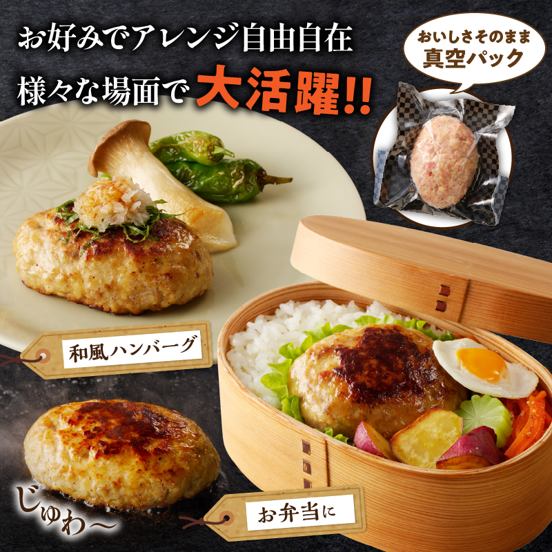 ≪3か月お楽しみ定期便≫宮崎県産豚プレミアムハンバーグ(合計30個) _T001-017 【肉 豚肉 加工品 国産 人気 ギフト 食品 おかず 自家製 お土産 贈り物 送料無料 プレゼント】