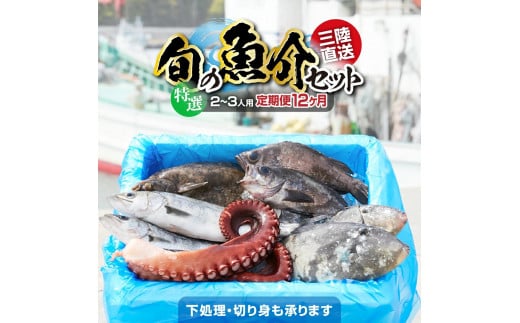 【12ヶ月定期便 / 下処理する】特選 三陸海の恵み詰め合わせ(1回あたりのお届け目安：2～3人用) 【 無添加 鮮魚 三陸産 国産 天然 海鮮 お刺身 魚介 魚介類 詰め合わせ セット お手軽 】岩手 陸前高田市 産地直送