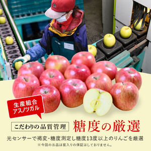 【 2月発送 】 糖度13度以上 おもてなし用 葉とらず サンふじ 約 5kg 【 弘前市産 青森りんご 】 果物 フルーツ デザート 食後 青森県産 産地直送