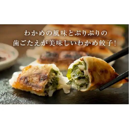 わかめ餃子　48個セット 冷凍 石巻市 十三浜産わかめ使用