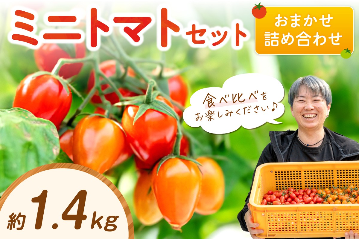 
            ミニトマトセット（おまかせ詰め合わせ）約1.4kg《先行予約》
          
