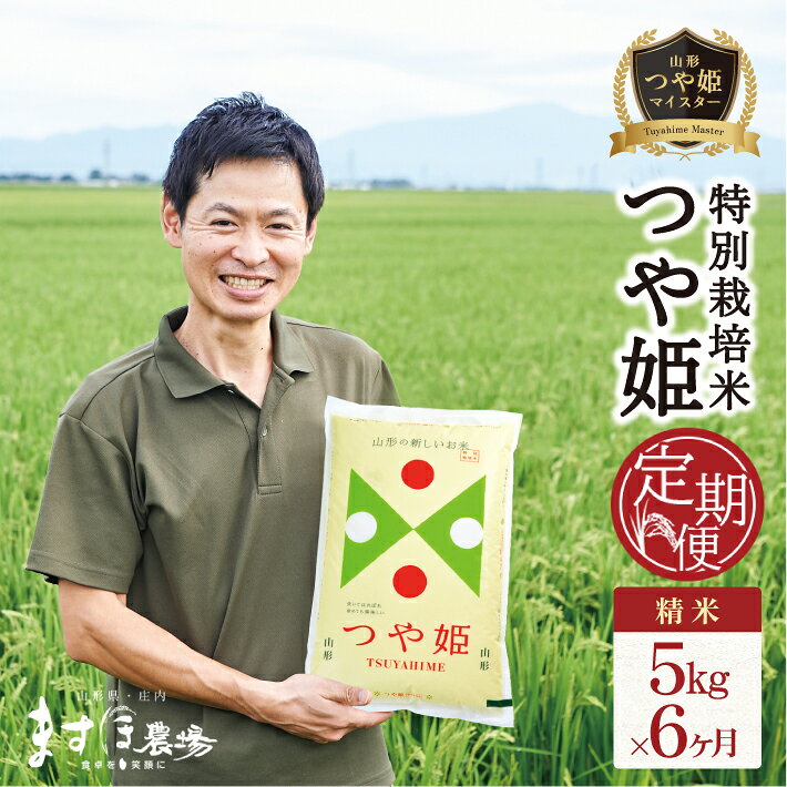 【ふるさと納税】≪新米予約≫ ≪6ヶ月定期便≫ つや姫マイスターが作った つや姫 精米 5kg×6ヶ月連続 計30kg 特別栽培米 山形県酒田産 ご希望期間の毎月下旬頃お届け 米 お米 白米 庄内米 ブランド米 東北 酒田市 庄内地方 庄内平野