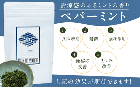 ペパーミントティーバッグ2.5g×10包 広川町 / ゆげ製茶[AFAG017]