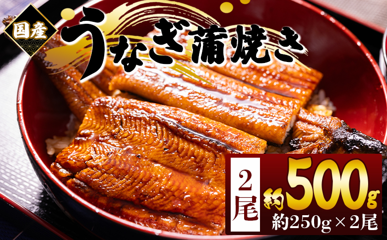 国産蒲焼きうなぎ ２５０ｇ ２尾 計５００ｇ fb-0167