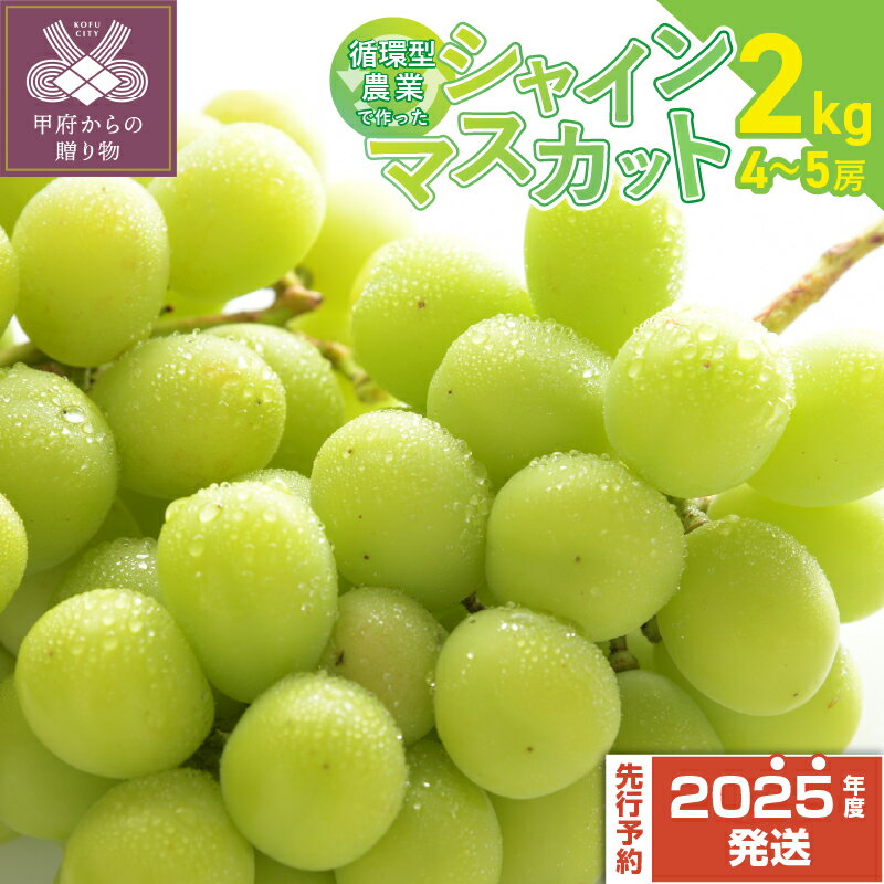 【ふるさと納税】 シャインマスカット 山梨県産 甲府市産 自然塾 フルーツ 果物 4房〜5房 2kg 特別栽培 冷蔵 数量限定 期間限定 2025年8月上旬～9月上旬順次発送 k280-003