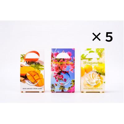 ふるさと納税 宮崎市 旅するアロマキャンドル【宮崎】15個SET