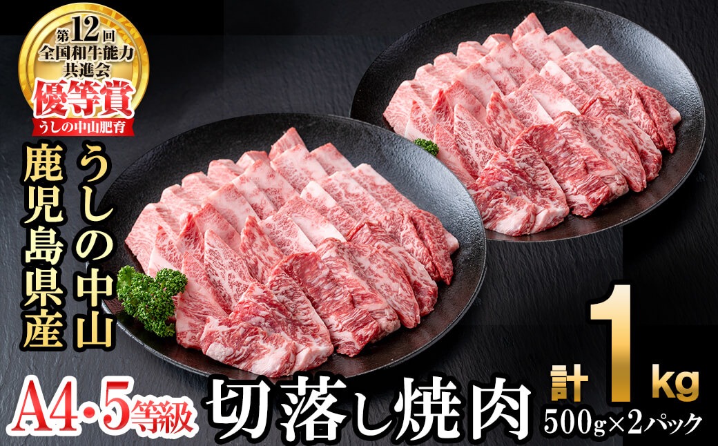 ＜A4・A5等級＞鹿児島県産黒毛和牛 うしの中山 切り落とし焼肉用 計1kg(500g×2P) c4-015