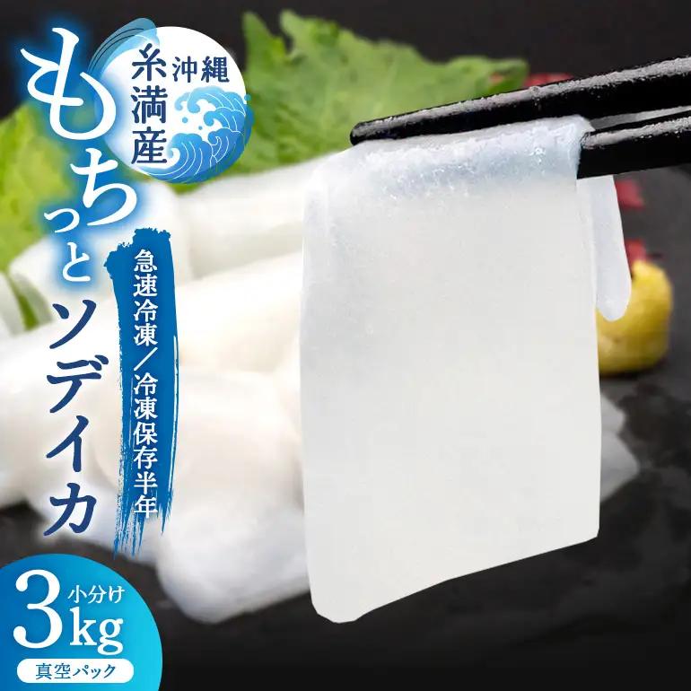 ソデイカ 約3kg いか  セーイカ