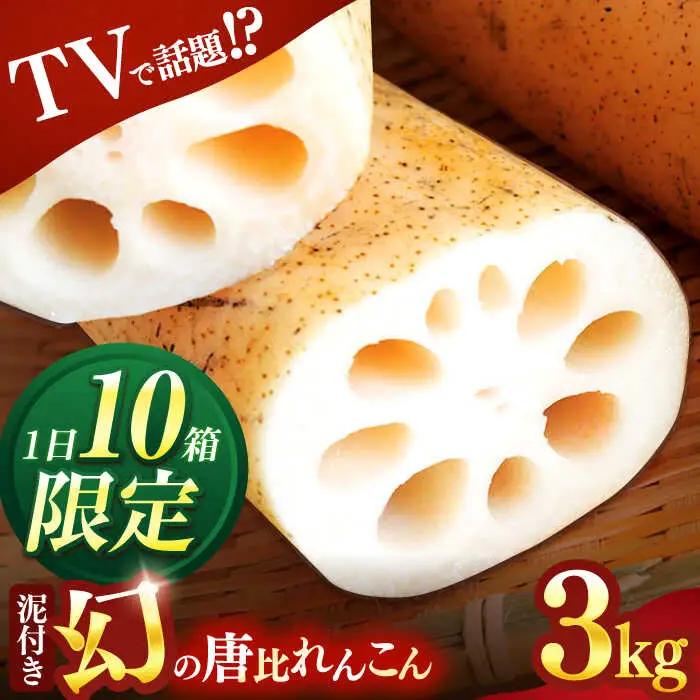 幻の唐比れんこん 3kg  AHCA003 れんこん