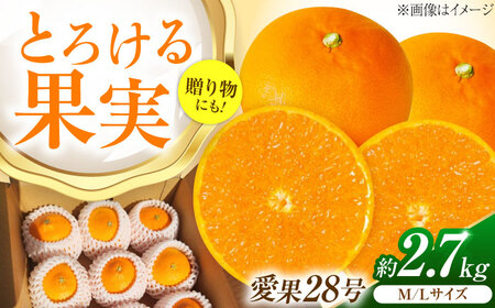 みかん 愛果28号 約2.7kg M-Lサイズ フルーツ 果物 みかん BJBG001