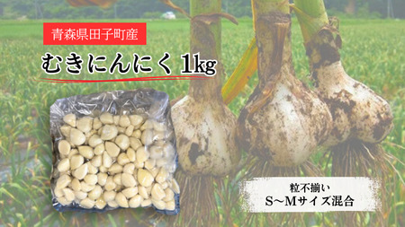 青森県田子町産 むきにんにく1kg(S～Mサイズ混合)業務用