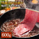 【ふるさと納税】特選 五島牛 焼肉・すき焼き用肩ロース600g【ニク勝】[PBF002]