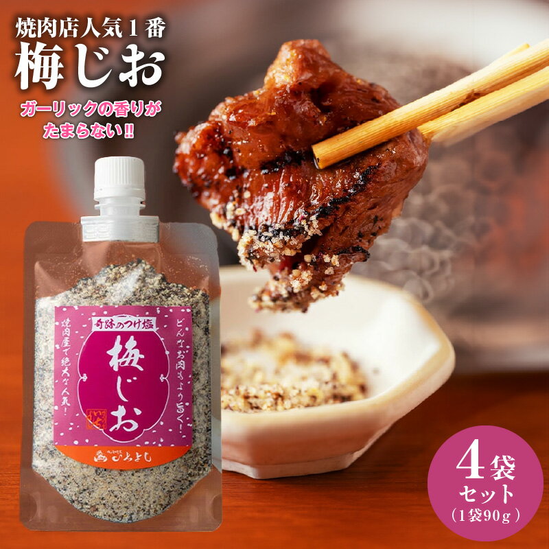 【ふるさと納税】＼最短7営業日以内発送／ 焼き肉専門店 スパイス 梅じお ガーリック 90g×4袋 梅 うめ塩 お試し 調味料 つけ塩 簡単 人気 BBQ アウトドア 焼肉 やきにく 炒め物 キャンプ お取り寄せ グルメ さっぱり 料理 家庭用 大阪府 泉佐野市 送料無料