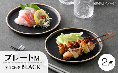 【波佐見焼】テラコッタ・BLACK プレートM 2枚セット【利左エ門窯】[QB66]