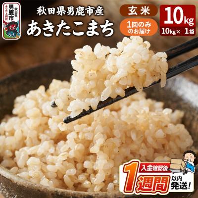 ふるさと納税 男鹿市 あきたこまち 玄米 10kg|23_ysu-221001b