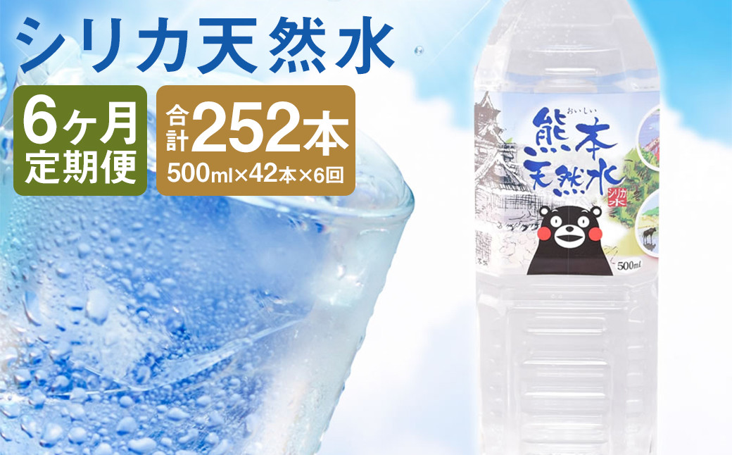 【定期便6回】シリカ天然水 500ml×42本