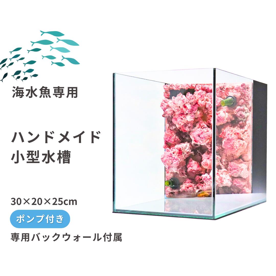 【ふるさと納税】ハンドメイド小型水槽【海水魚専用】ポンプ付き（30×20×25cm） 新潟県 出雲崎町 サーチライフクラフト