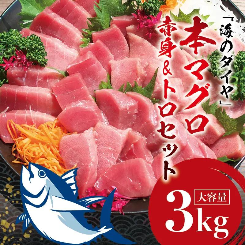 本マグロ（養殖）トロ＆赤身セット 3kg 【11月発送】【配達日指定不可】高級 クロマグロ  中トロ 中とろ 大トロ 大とろ まぐろ マグロ 鮪 刺身 赤身 柵 じゃばらまぐろ 本マグロ 本鮪【nks112B-11】