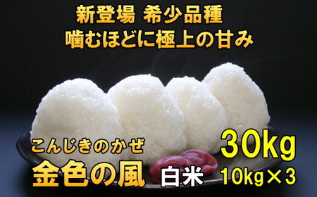  【白米30kg】新登場の高級米 令和6年産 岩手県奥州市産 金色の風 白米30キロ [AC036]