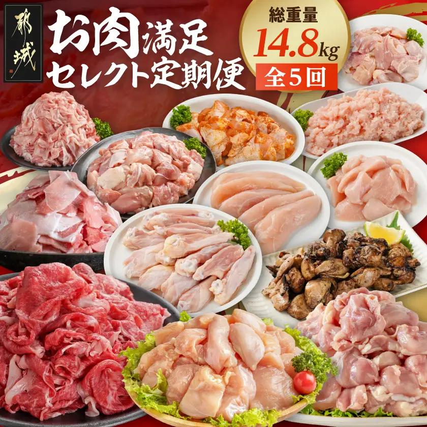 【☆セレクト定期便☆】お肉満足定期便(5ヶ月)≪2027年お届け≫〔T66E-5-S006〕_(都城市) 宮崎県 若鶏 モモ ムネ カット済 手羽 ささみ 炭火焼 豚肉 牛肉 小間切れ 切り落とし