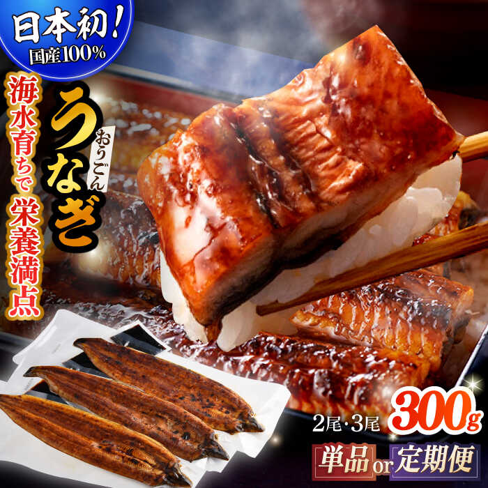 【ふるさと納税】【選べる回数】【単品 定期便 選べる】【日本初！海水で養殖】長崎県産おうごんうなぎ 約300g（2尾〜3尾） 平戸市 / 松永水産 [KAB110] うなぎ 鰻 ウナギ 蒲焼 土用の丑の日 丑の日 健康 滋養強壮