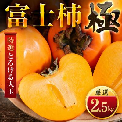 ふるさと納税 八幡浜市 肉厚濃蜜 富士柿　2.5kg　愛媛県産【49-124】