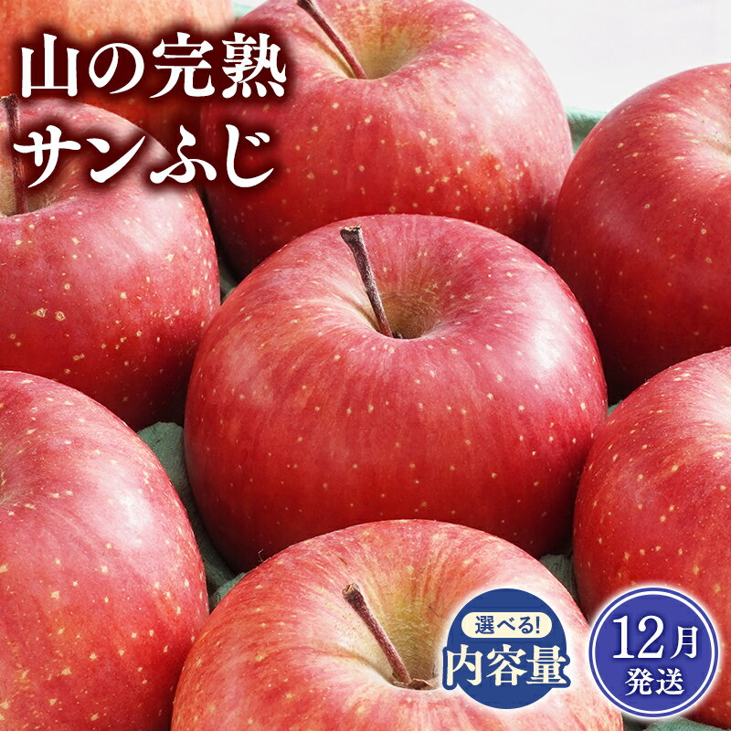 【ふるさと納税】≪12月発送≫青森県産 山の完熟サンふじ 約3kg 約5kg【青森県 平川市 吹田りんご園】サンふじ ふじ りんご リンゴ アップル 果物 くだもの フルーツ 平川市産 完熟りんご レビューキャンペーン