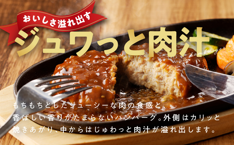特製ソース ハンバーグ 10個 個包装 160g×10個【泉州玉ねぎ使用 はんばーぐ 人気 惣菜 小分け レンチン 湯煎 簡単調理】 099H2885