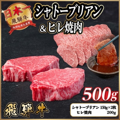 飛騨牛 シャトーブリアン＆ヒレ焼肉 計約500g【冷蔵便】 A4～A5 黒毛和牛 希少部位【配送不可地域：離島】