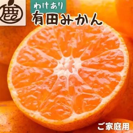 家庭用 有田みかん5kg+250g(傷み補償分)【光センサー選果】【訳あり】【配送不可地域：離島・北海道・沖縄県】【1313205】