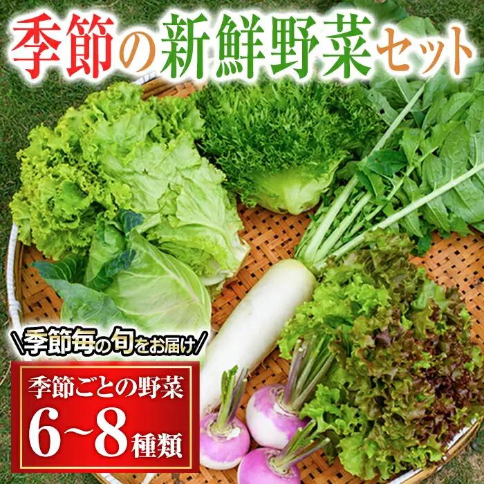 野菜セット 季節毎の新鮮野菜セット 詰め合わせ 旬 【野菜セット】【ho1537】
