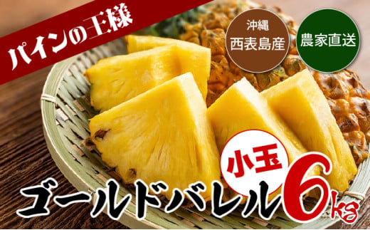 【2026年発送】ゴールドバレルたっぷり小玉セット[022-a012_2026]