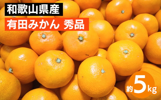 和歌山県産 有田みかん 約5kg 秀品 ※2025年10月中旬～2026年1月下旬頃に順次発送予定 ※北海道・沖縄・離島への配送不可
