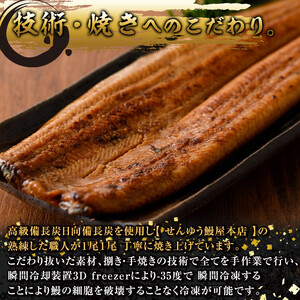 【定期便】薩摩とろ鰻蒲焼二尾280g（140g×2）【12ヶ月】 2176