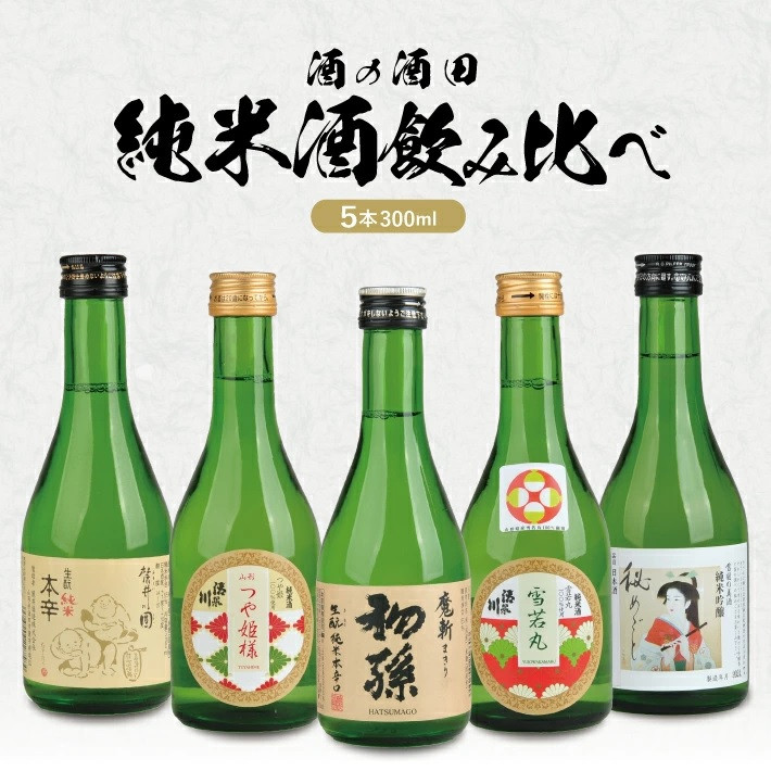 
            SB0673　［酒の酒田］純米酒飲み比べセット　計5本(各300ml×1本)【初孫 魔斬、清泉川 山形つや姫様、清泉川 雪若丸、麓井 圓、松嶺の富士 秘めごと】
          