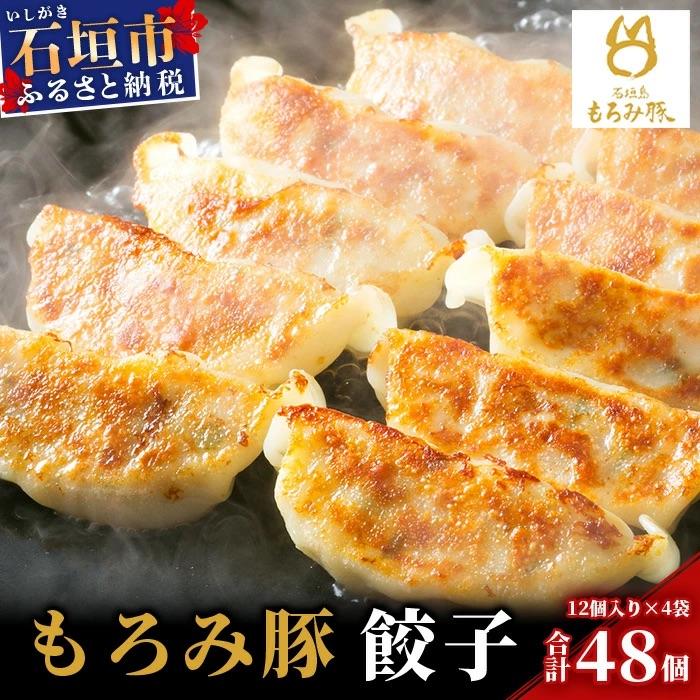 ふるさと納税 石垣市 【石垣島ブランド豚】もろみ豚 特製 餃子 4パック【合計48個】【もろみで育てる自慢の豚肉】