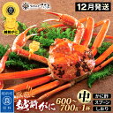 【ふるさと納税】浜茹で 越前がに 中サイズ（生で600～700g） × 1杯 かに酢 食べ方しおり スプーン付き【12月発送分】【かに カニ 蟹 ズワイガニ ずわいがに 姿 ボイル 福井県 冷蔵】希望日指定可 備考欄に希望日をご記入ください [e04-x029_12]