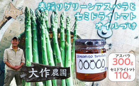 ＜2026年4月中旬よりお届け＞北海道壮瞥産 大作農園の「春採りグリーンアスパラM～LL混合」約300gとセミドライトマトオイル漬け1瓶（110g）のセット【 ふるさと納税 人気 おすすめ ランキング グリーンアスパラ アスパラ あすぱら トマト とまと アイコ オイル漬け 野菜 甘い 北海道 壮瞥町 送料無料 】 SBTR009